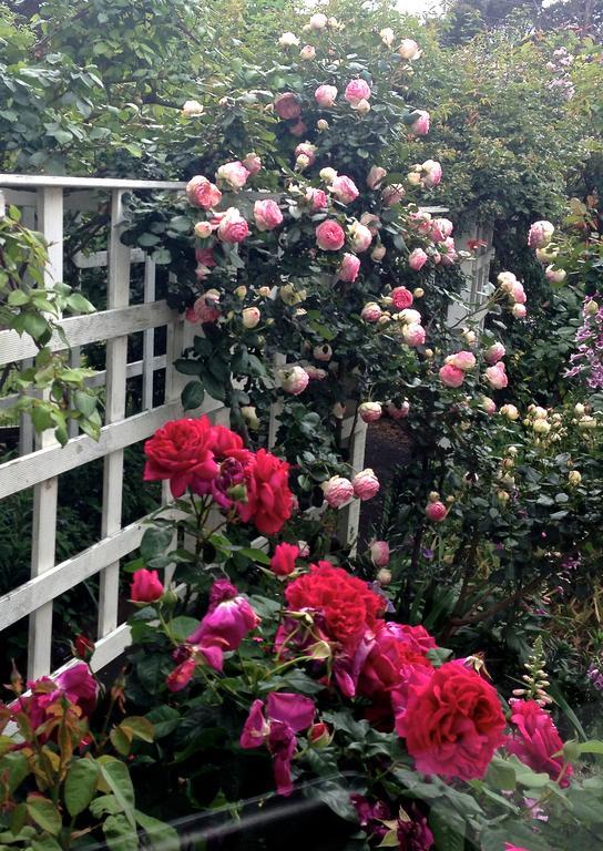 Bed Of Roses Villa อะพอลโลเบย์ ภายนอก รูปภาพ
