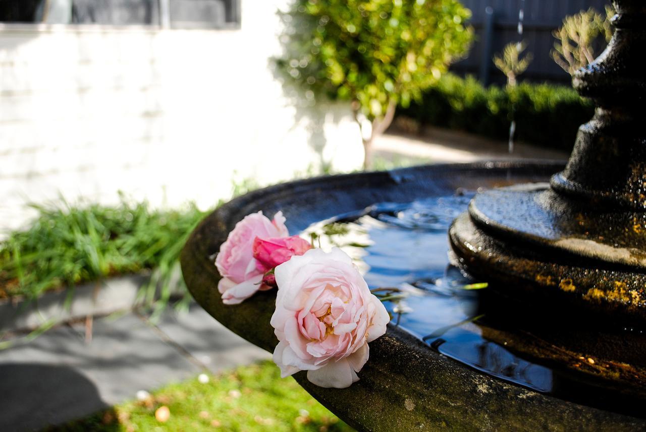 Bed Of Roses Villa อะพอลโลเบย์ ภายนอก รูปภาพ
